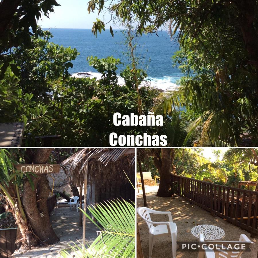Donde Mira El Sol, Promo Primavera Hasta 50 Por Ciento (Adults Only) Acapulco Exteriör bild