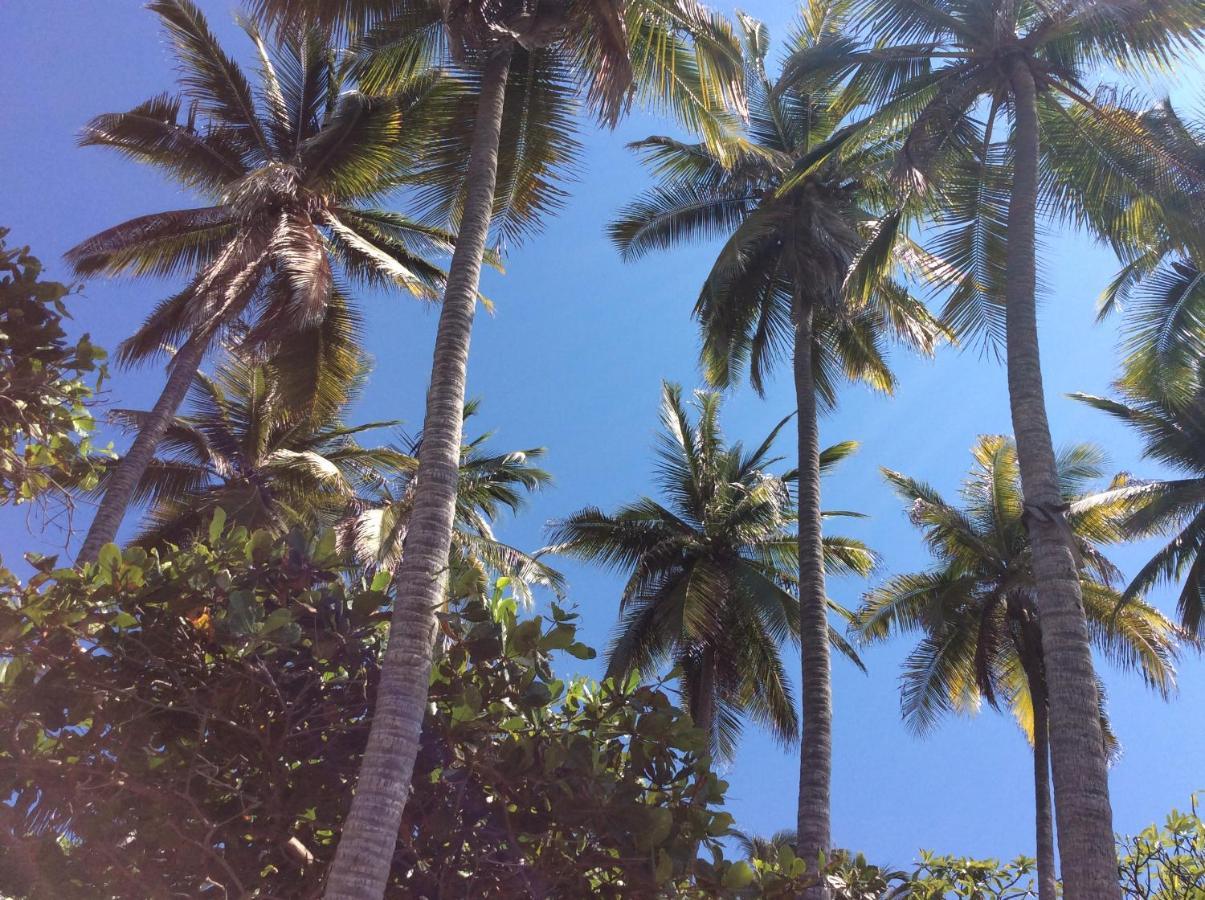 Donde Mira El Sol, Promo Primavera Hasta 50 Por Ciento (Adults Only) Acapulco Exteriör bild